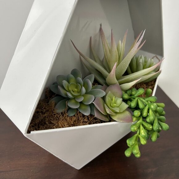 Faux succulents in wall planter - Picture 4 of 5